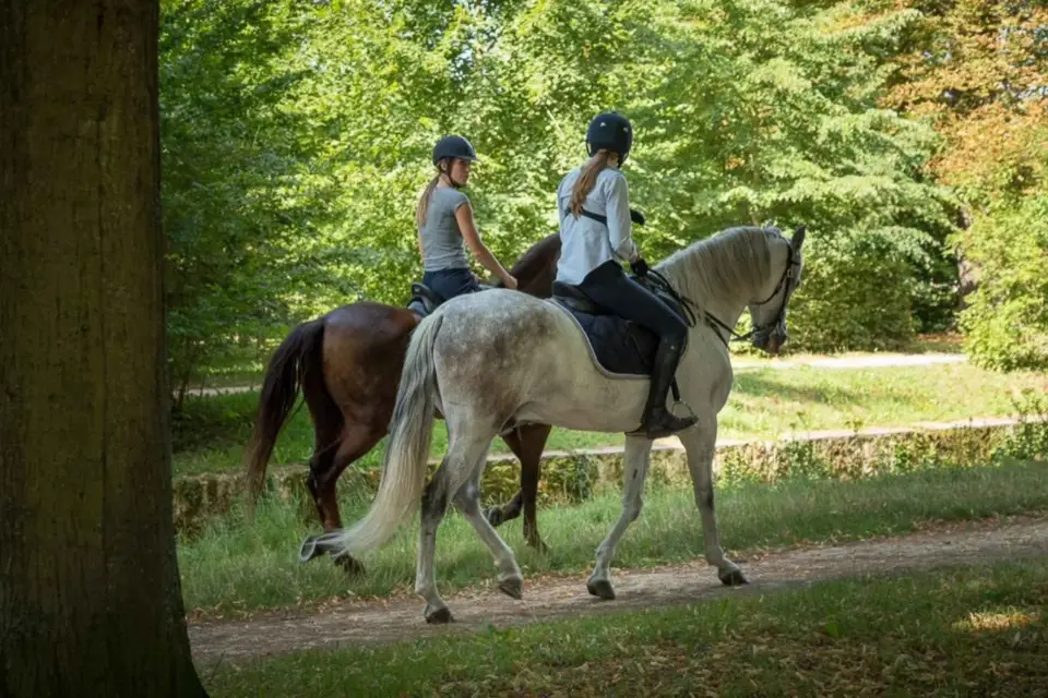 Paseo a caballo Versalles Intimidad y ViP