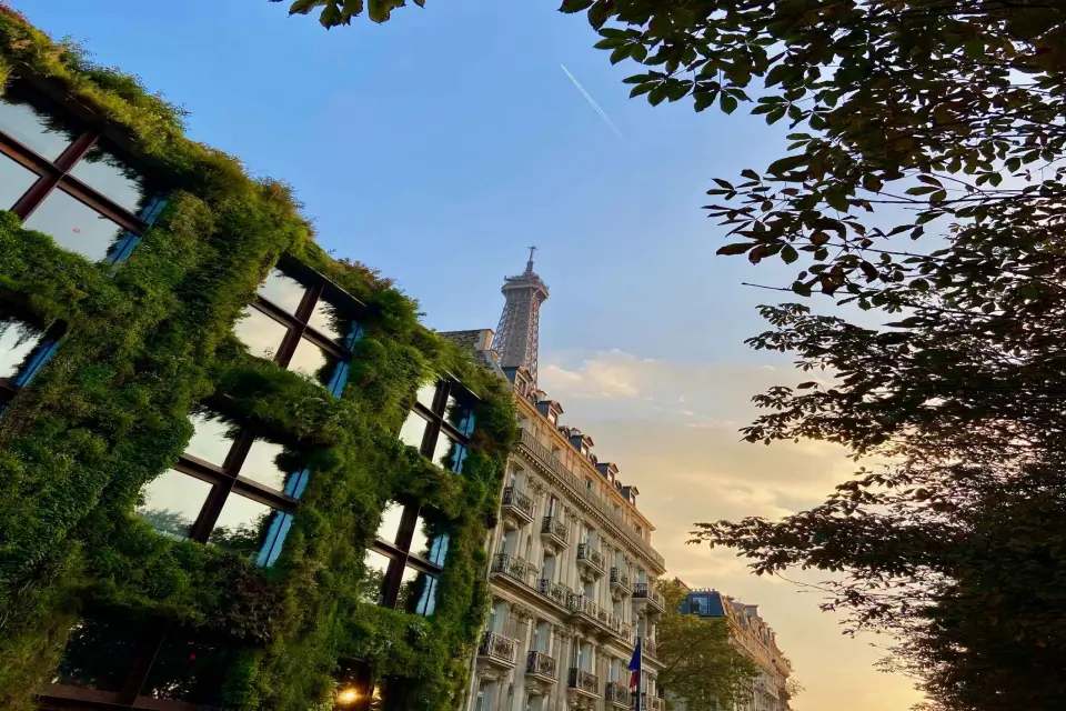 París: Ticket de entrada al Museo Quai Branly y crucero opcional por el Sena