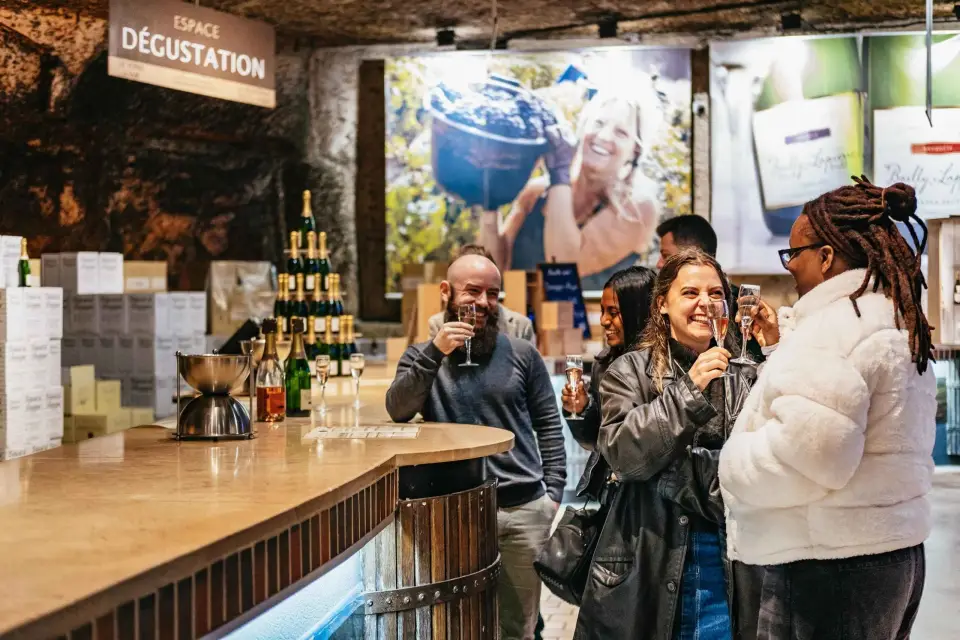 Desde París: Visita a Bodegas de la Región de Borgoña con Degustaciones