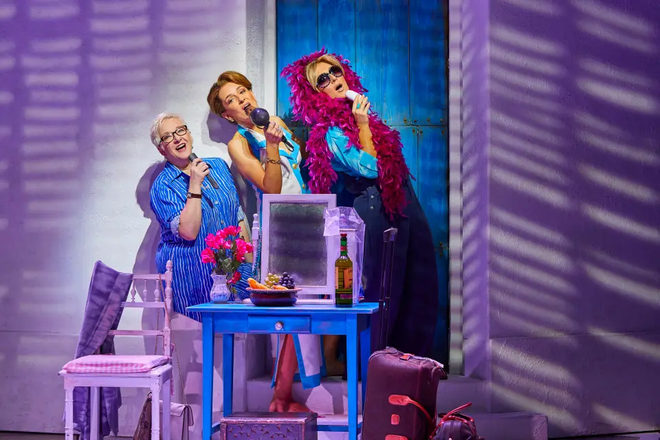 Entradas para Mamma Mia! The Party