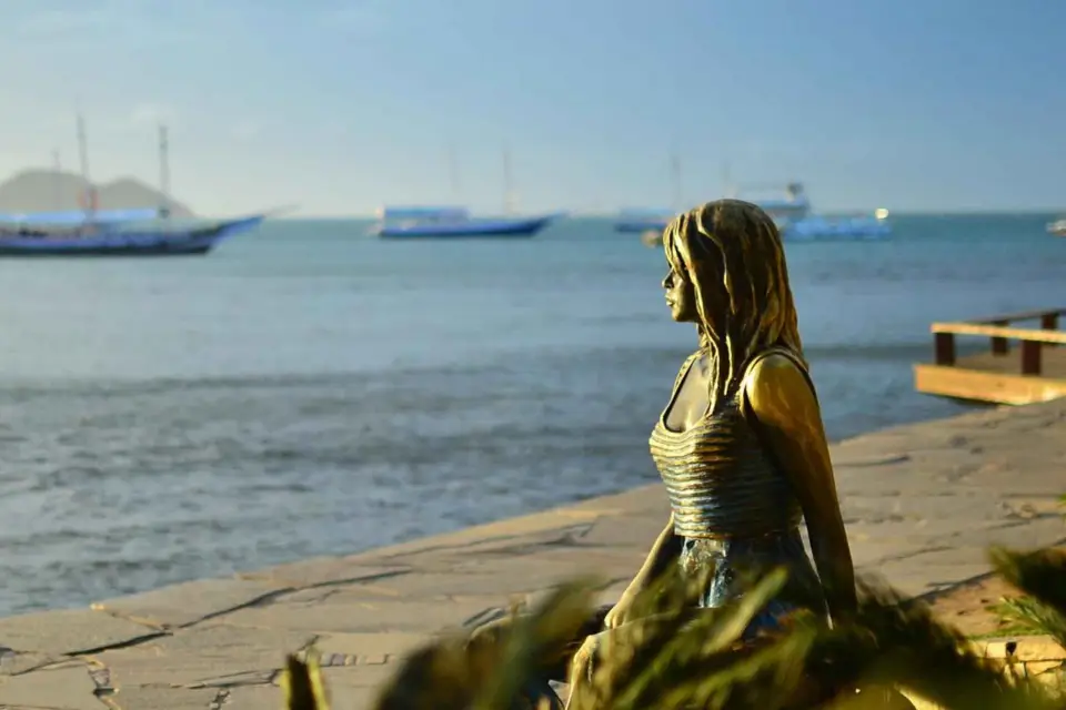Búzios: Visita a la Ciudad y Salto de Playa con Almuerzo