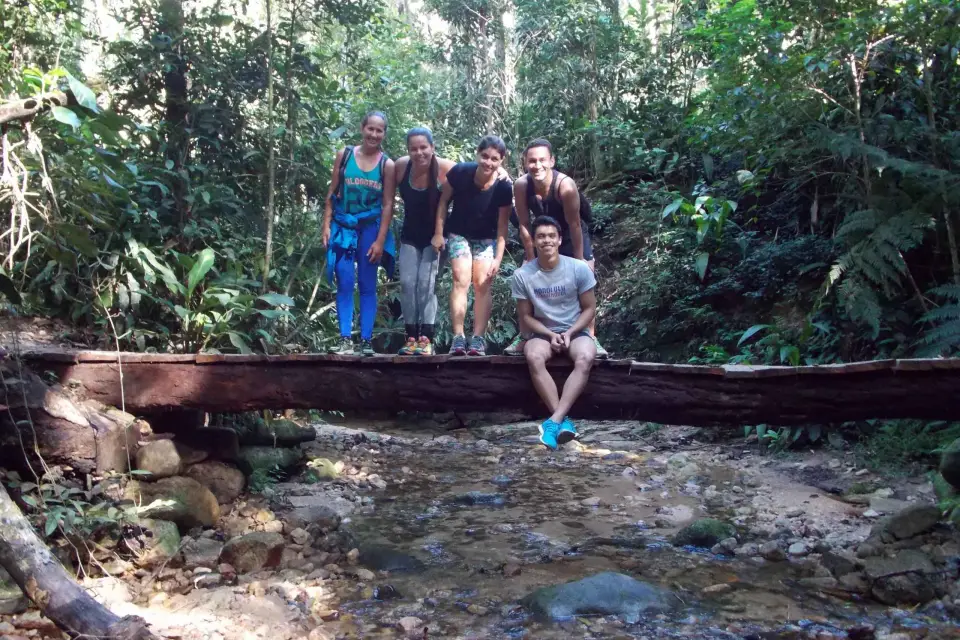 Río: Caminata Histórica por la Floresta de Tijuca y Cachoeira das Almas
