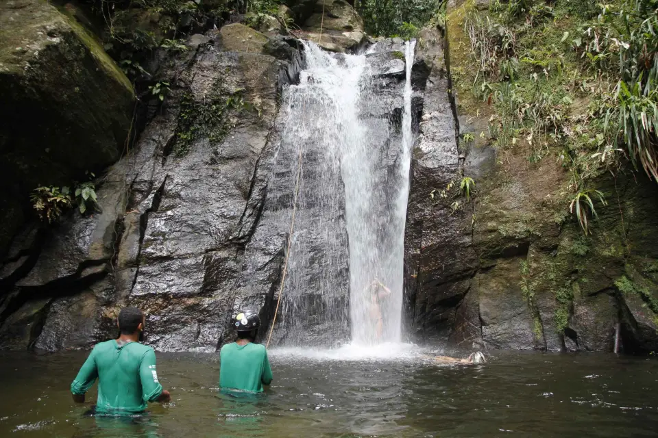 Río: circuito por el bosque de la Tijuca y cascada de Horto