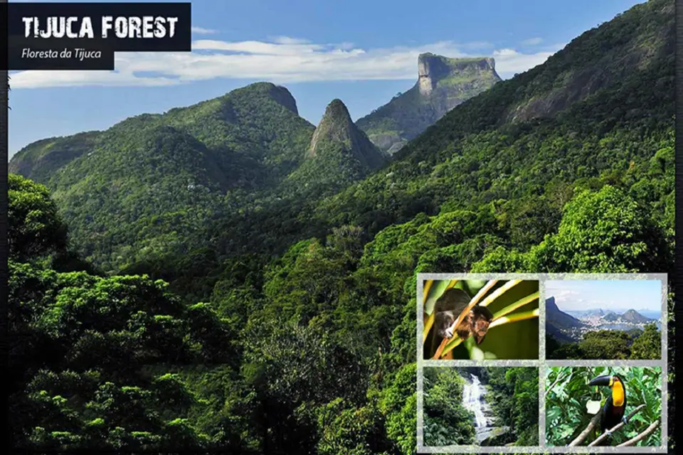 Río de Janeiro: EcoTour Parque Nacional de Tijuca