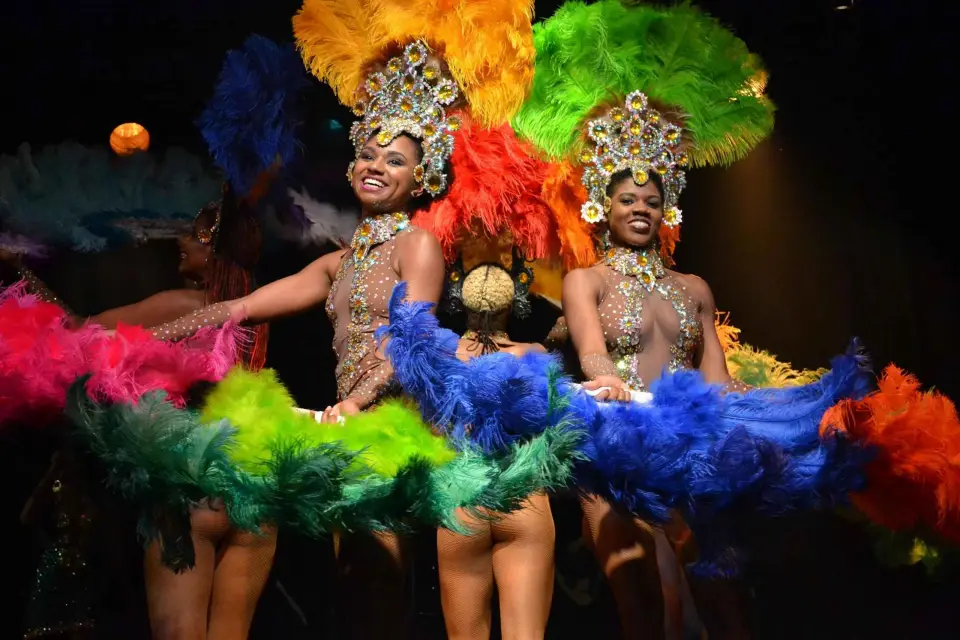 Río de Janeiro: Espectáculo de Samba Entrada y Traslado