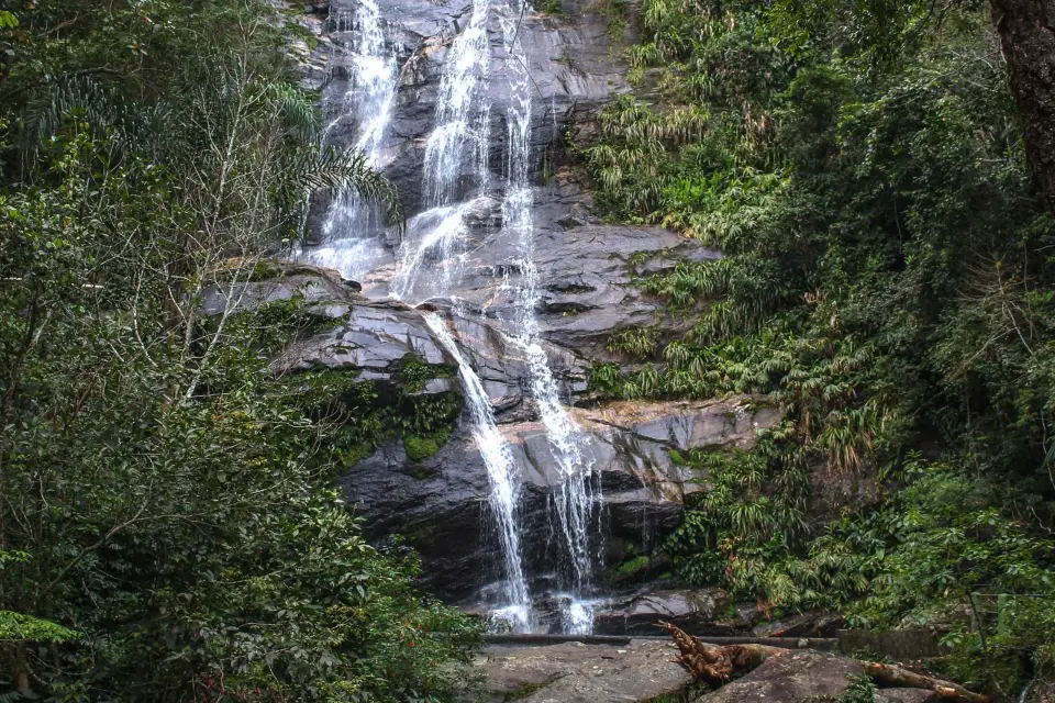 Río de Janeiro: Excursión a la Cascada de las Almas de la Floresta de Tijuca