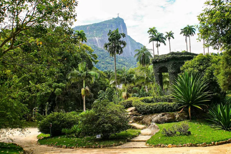 Río de Janeiro: Excursión en Jeep por el Jardín Botánico y la Selva de Tijuca