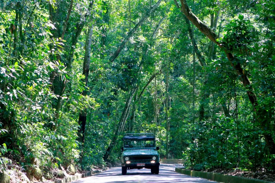 Río: Excursión en Jeep al Jardín Botánico y la Selva de Tijuca