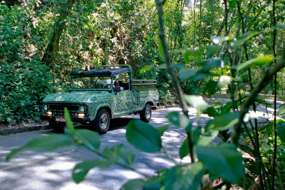 Río: Excursión en Jeep por la Selva de Tijuca y Santa Teresa