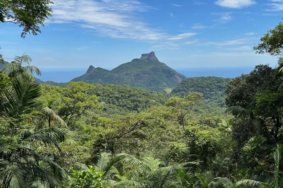 Río de Janeiro: Excursión al Parque Nacional de Tijuca