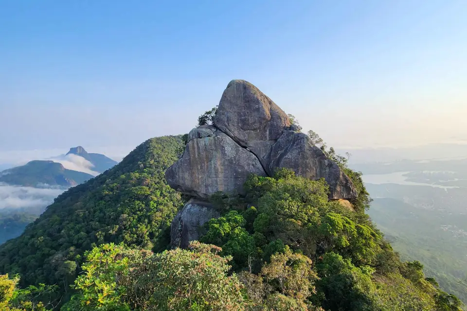 Río de Janeiro: Excursión al Pico do Papagaio en la Floresta de Tijuca