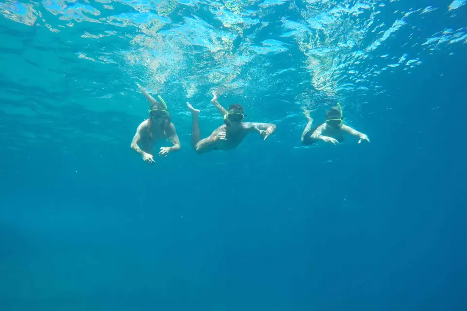 Río: Excursión de snorkel y natación con tortugas en las Islas Tijuca