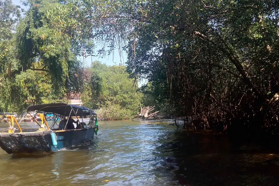 Pantanal de Río de Janeiro