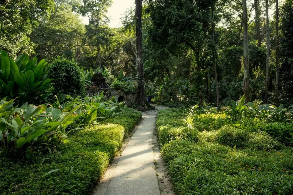 Parque Lage: Mansión histórica e impresionantes jardines en Río