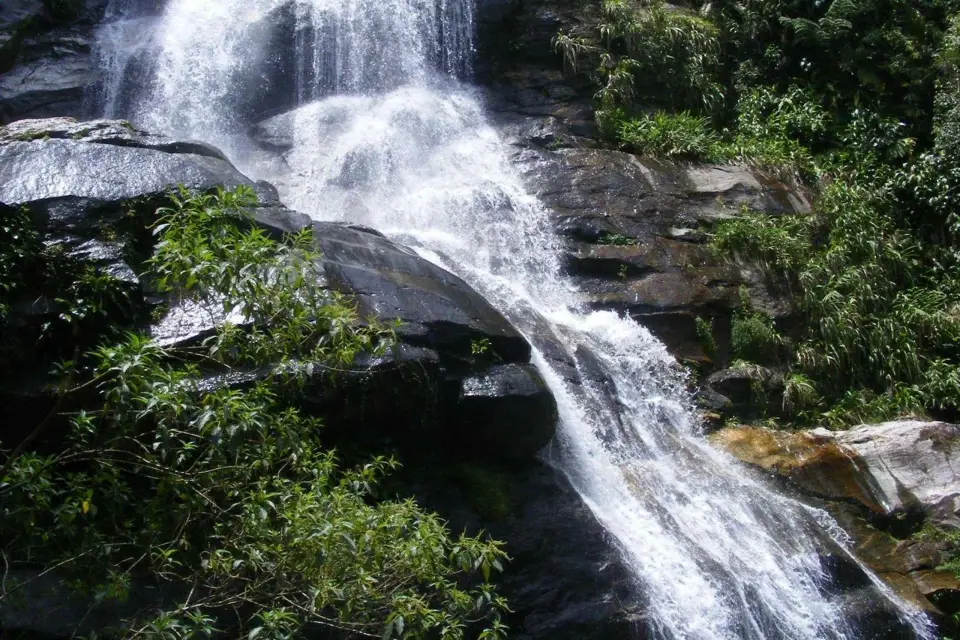Recorrido por la Selva de Tijuca