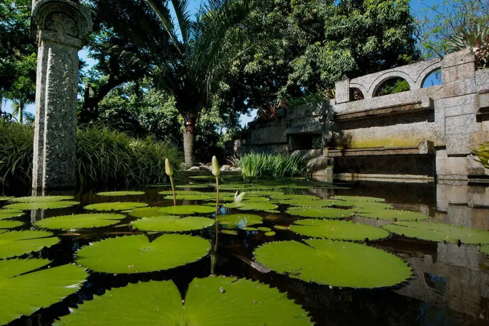Río de Janeiro: Sitio Roberto Burle Marx Tour guiado