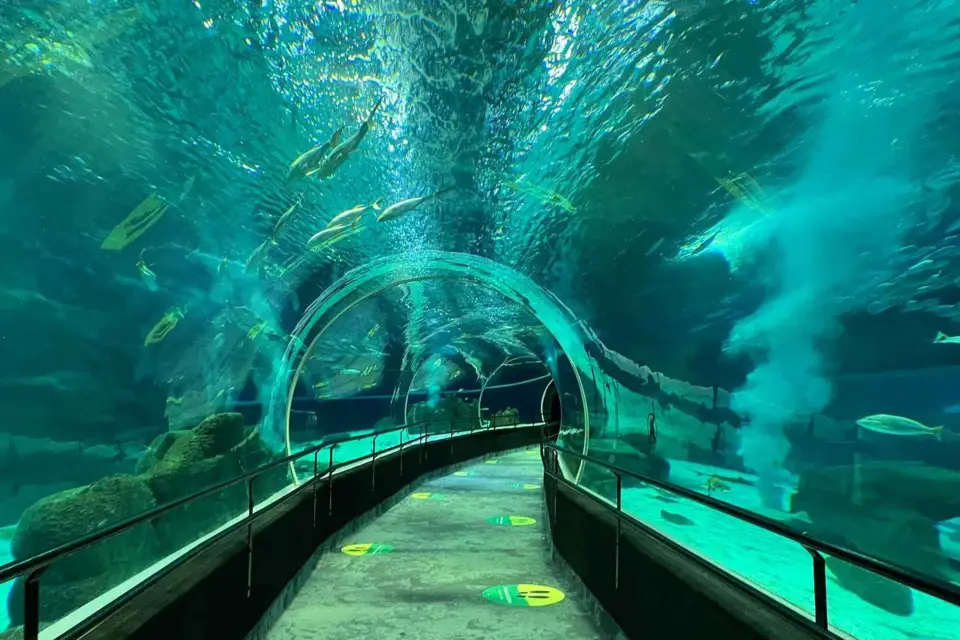 Río de Janeiro: Ticket de entrada al Acuario Marino