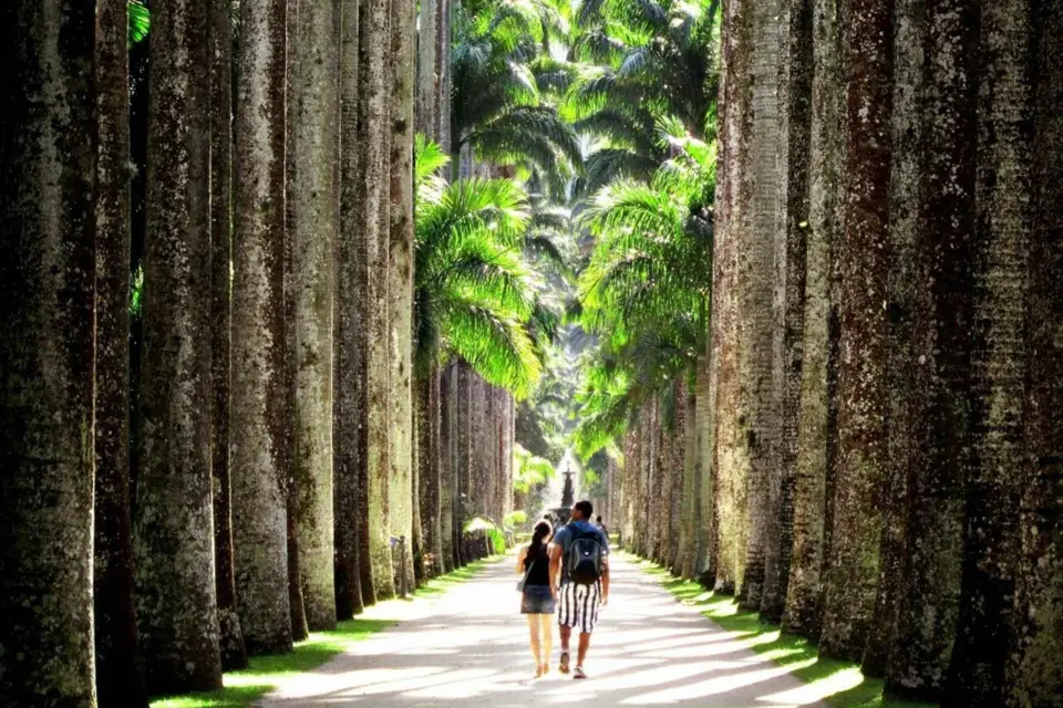 Río de Janeiro: Tour guiado del Jardín Botánico y Parque Lage