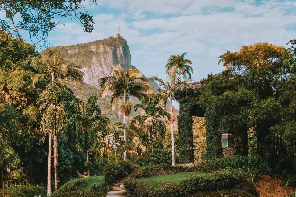 Río de Janeiro: Visita de 4 horas al Jardín Botánico y la Selva de Tijuca