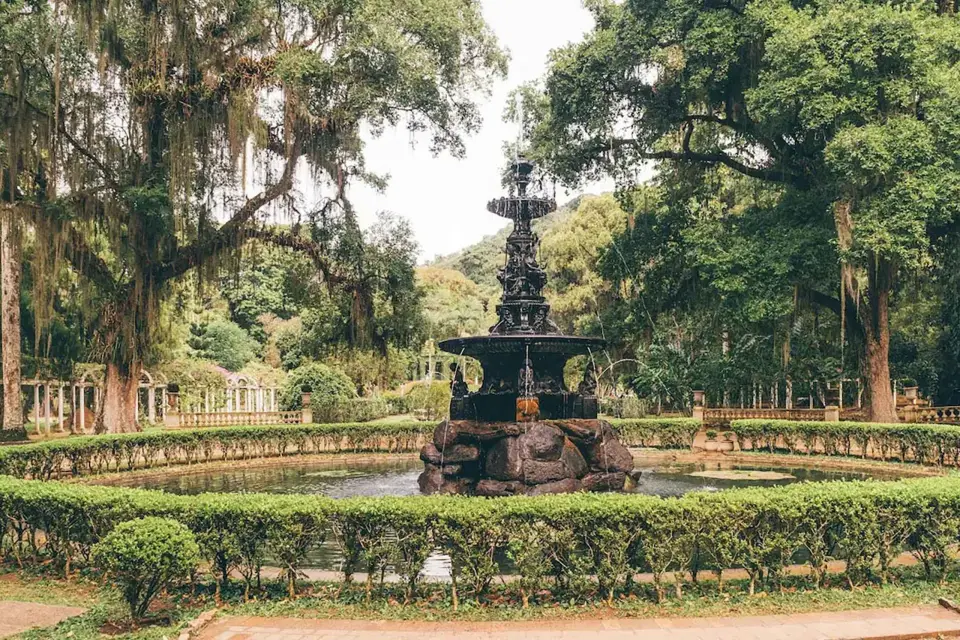 Visita el Jardín Botánico de Río: Naturaleza, Historia y Vida Salvaje