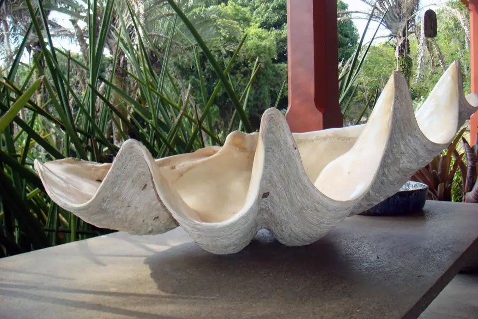 Río: Visita Privada al Sitio Burle Marx y a la Destilería de Cachaça