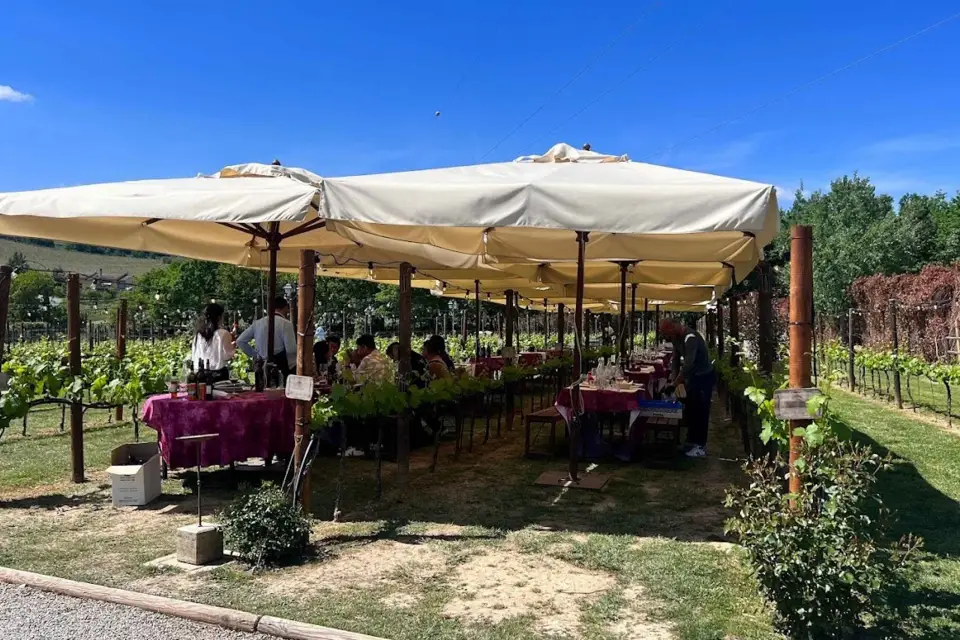 Desde Roma: Excursión de un día completo a la Toscana para catar vinos, en grupo reducido