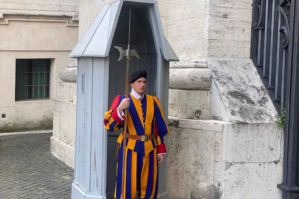 Roma: La Majestad del Vaticano Tour a pie en grupo reducido