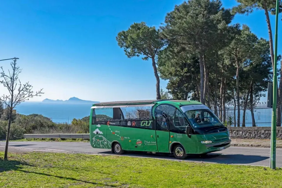 Desde Roma: Pompeya y el Vesubio Excursión de un día con guía y almuerzo