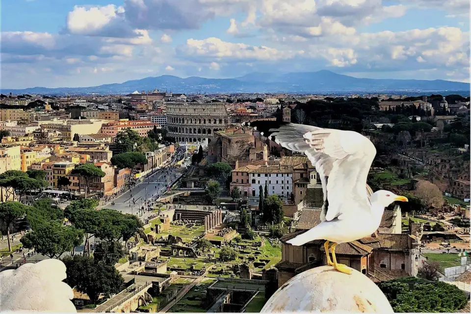 Roma: Vaticano, Coliseo y Plazas Mayores con Comida y Coche