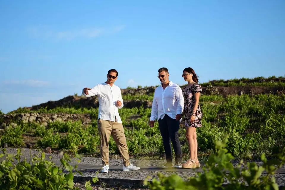 Cata privada de vinos y maridaje con vistas a la Caldera