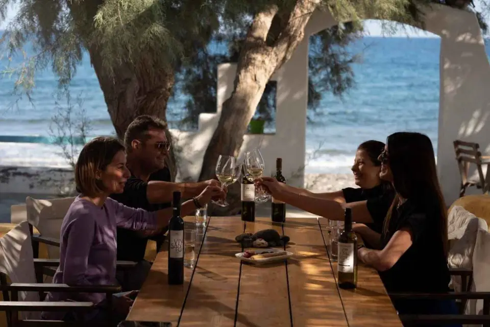 Santorini: Excursión de cata de vinos con almuerzo de 4 platos y 4 vinos