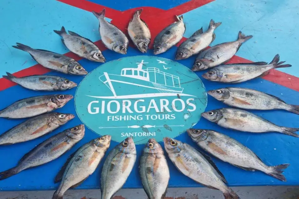 Santorini: Excursión de Pesca Tradicional y Almuerzo de Pescado Fresco