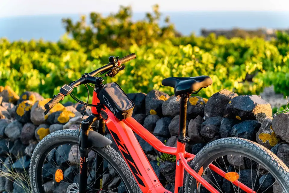 Excursiones guiadas en e-bici por Santorini