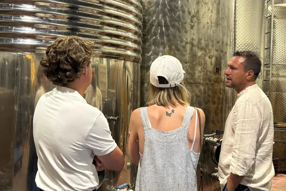 Mini Excursión de Cata de Vinos de Santorini en 2 Bodegas