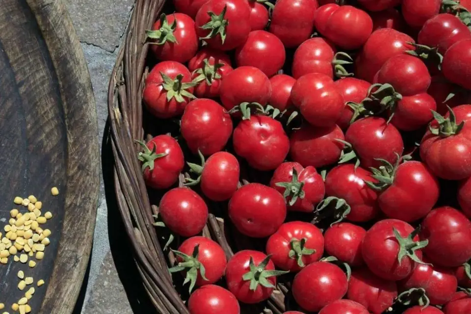Paseo por el pueblo de Megalochori: degustación de comida de granja y visita a la bodega