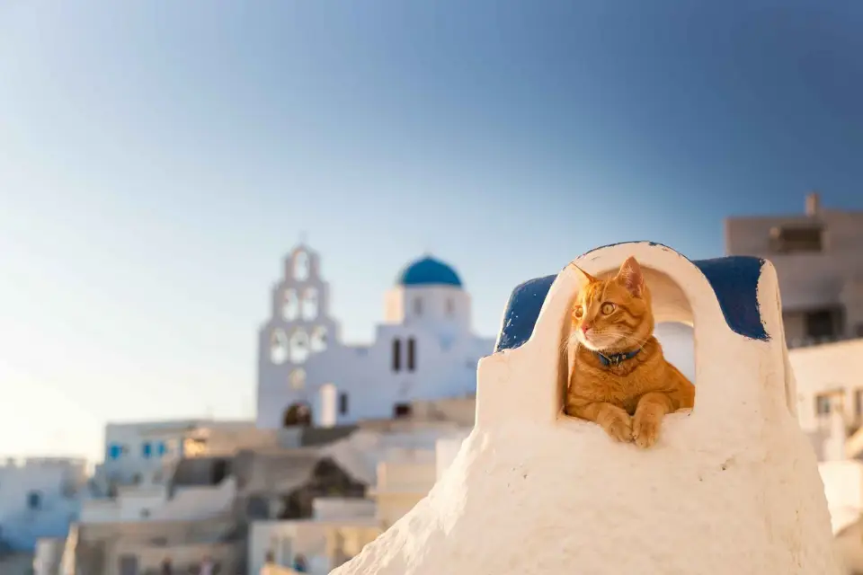 Santorini: recorrido destacado de Instagram con un fotógrafo