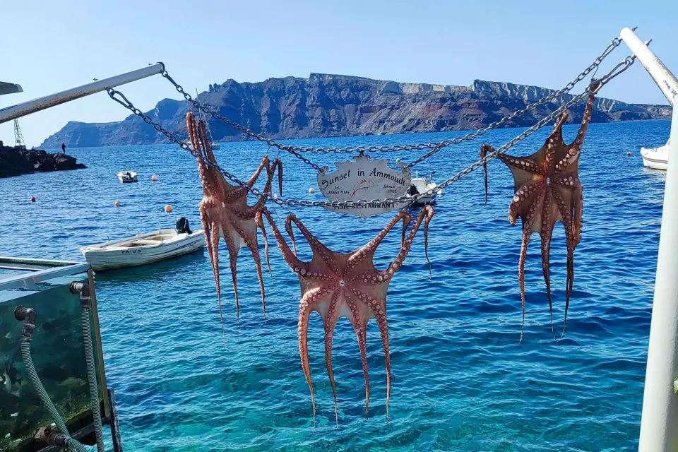 Santorini: Tour de día completo privado con guía local