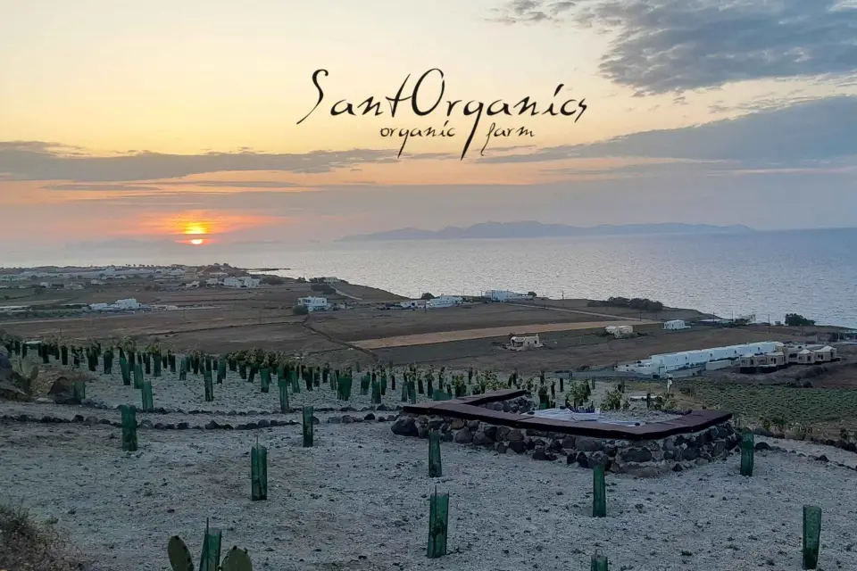 Santorini: Visita Agroeducativa Privada a una Granja Ecológica