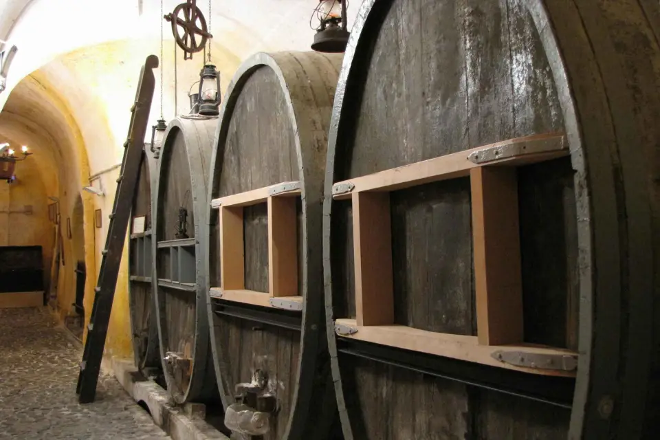Vothonas Entrada al Museo del Vino con degustaciones y audioguía