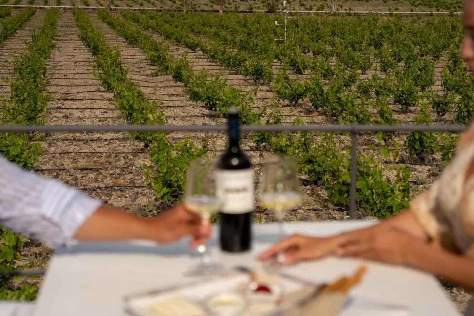 Santorini: Wine O' Clock - Tour privado de cata de vinos