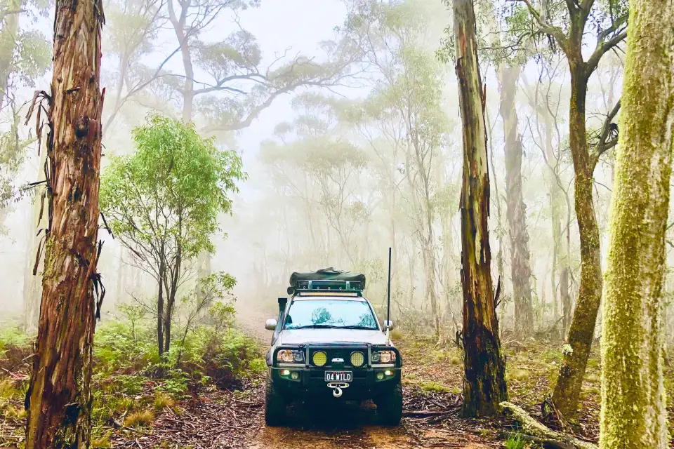 Desde Sidney: 2 días de acampada en las Montañas Azules en 4x4 y crucero por el río