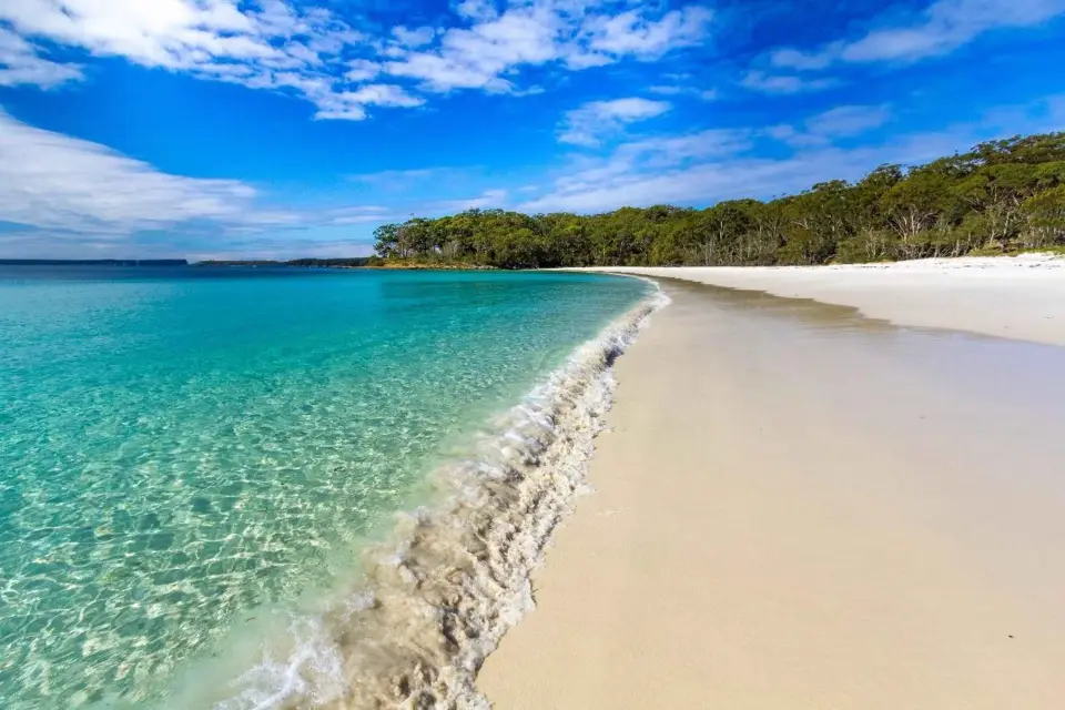 Desde Sidney Excursión de un día a Port Stephens