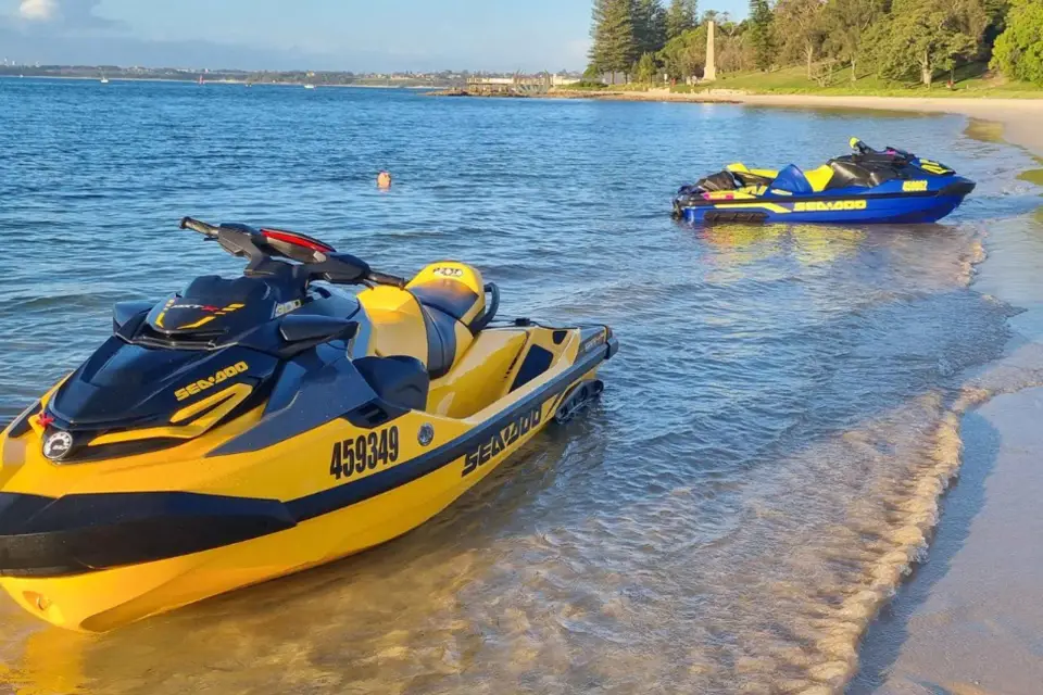 Excursión en moto acuática para avistar ballenas