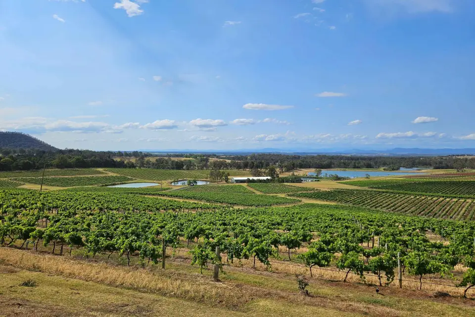 Excursión a Sydney Hunter Valley