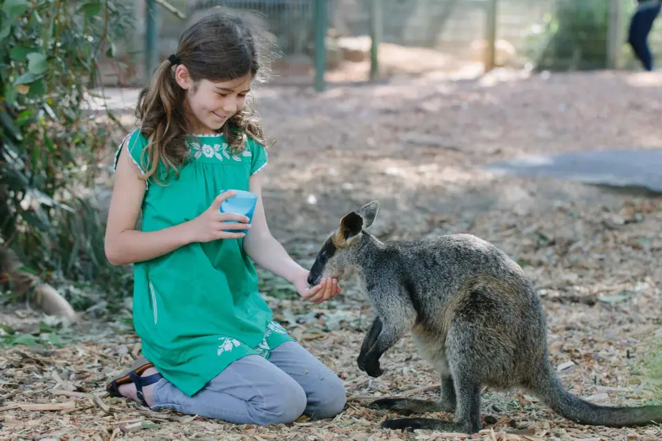 Featherdale Wildlife Park Ticket de entrada general