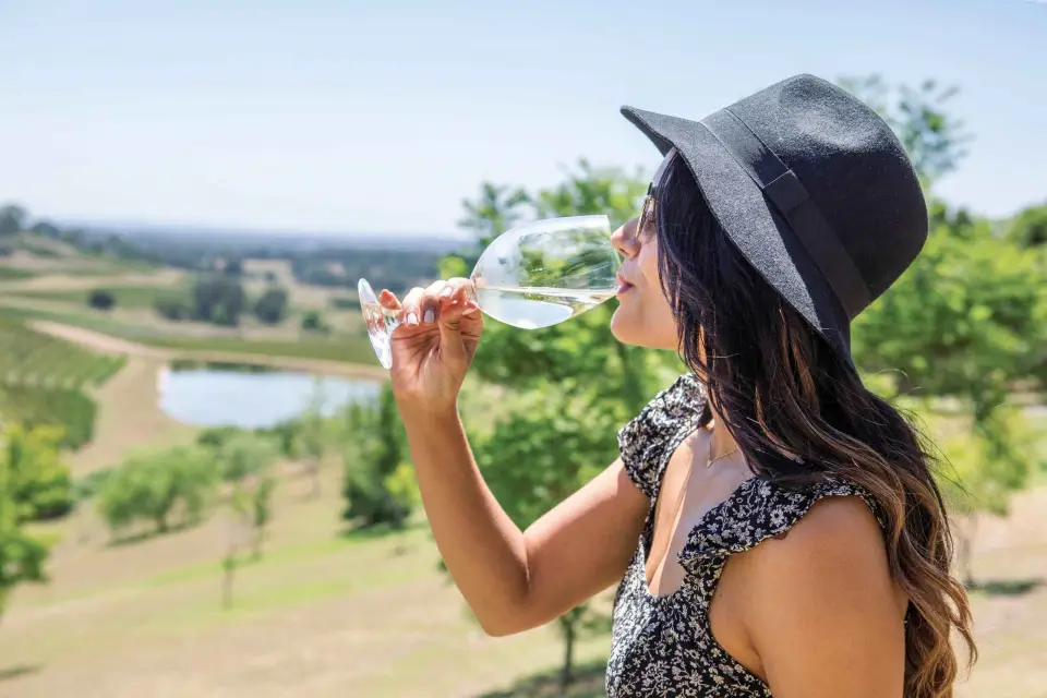 Hunter Valley: tour del vino con 3 degustaciones y almuerzo en el jardín