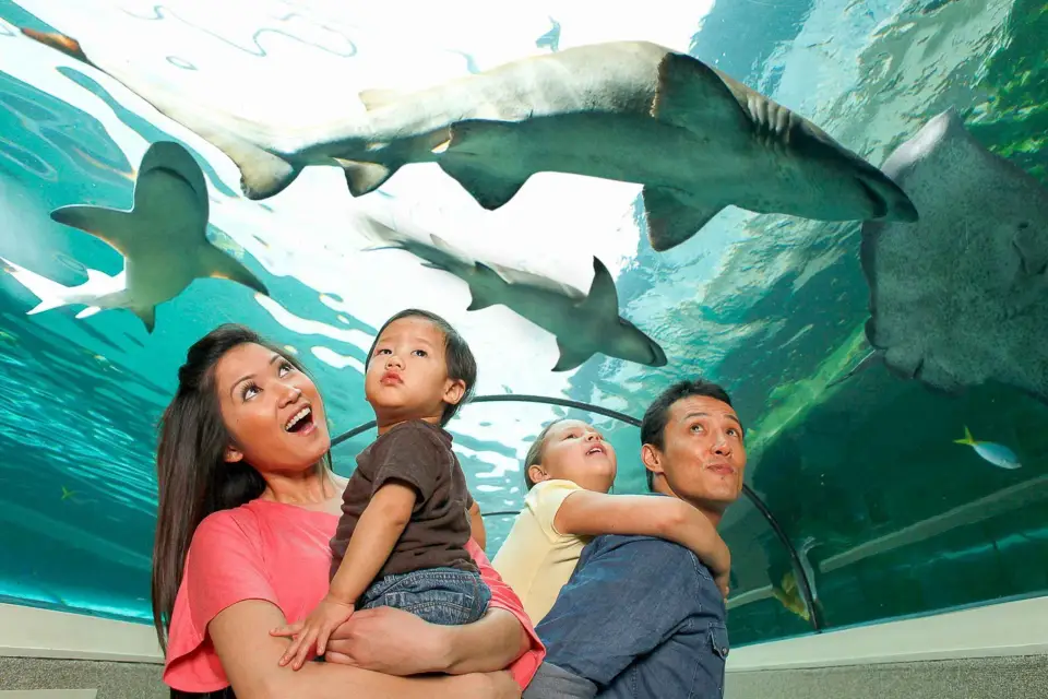 SEA LIFE Sydney Aquarium: tickets de entrada al acuario