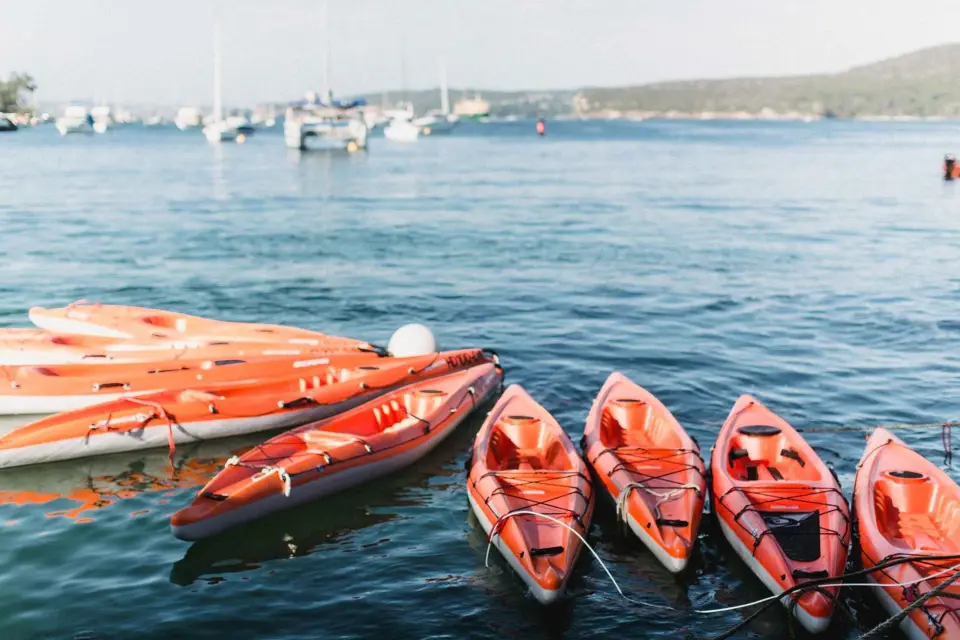 Manly Excursión en mini kayak por el Puerto Norte de Sídney