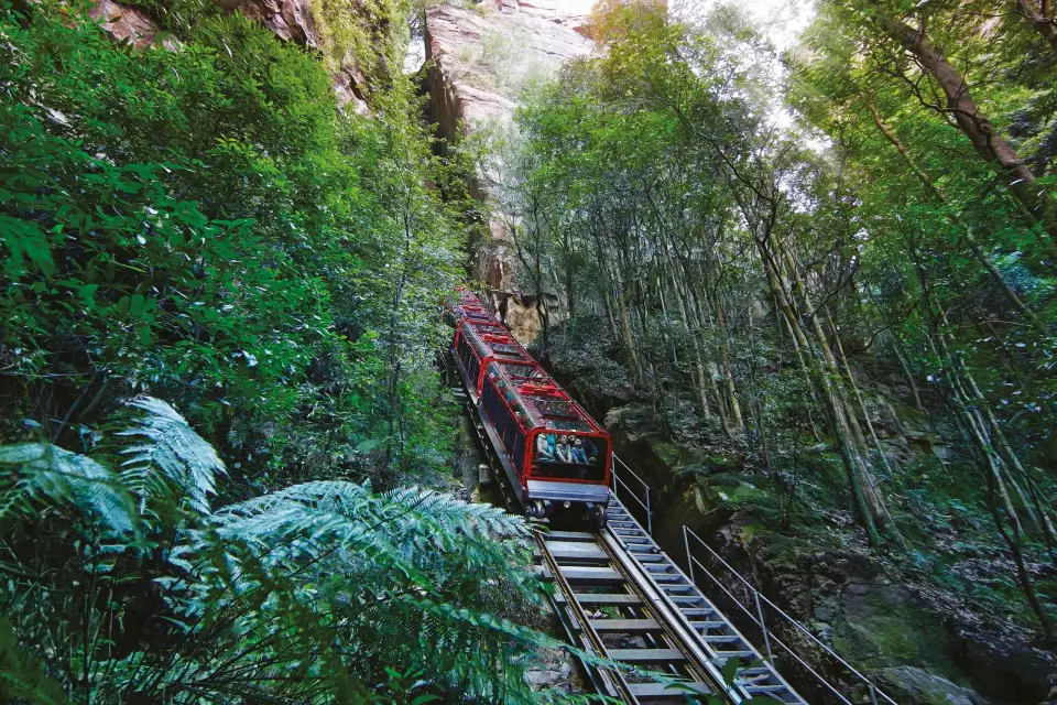 Montañas Azules: Scenic World, Ferry, Zoo y Koala Photo
