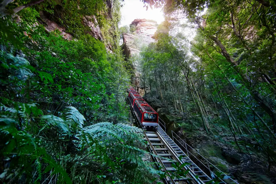 Desde Sidney Montañas Azules, Scenic World Todo Incluido